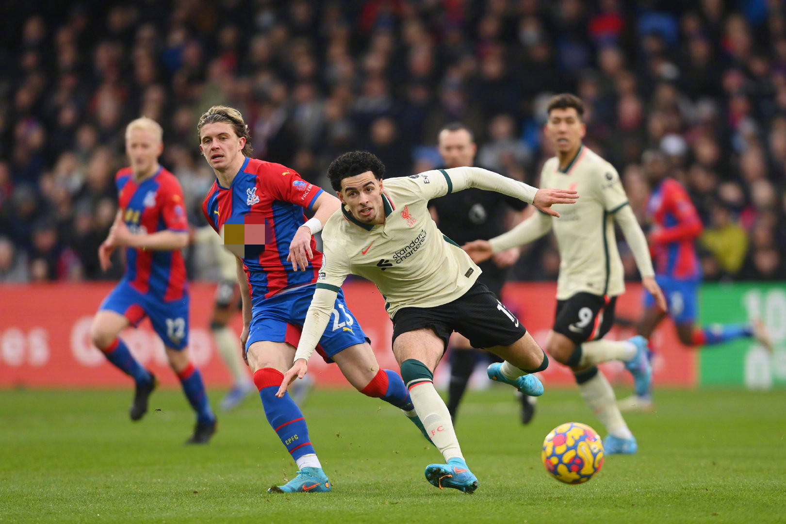 上崭露头角 上崭露头角