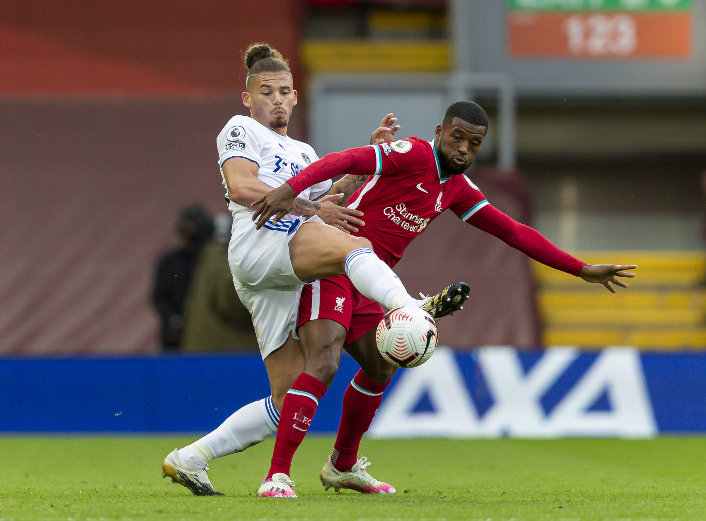 所有的鸡蛋 所有的鸡蛋